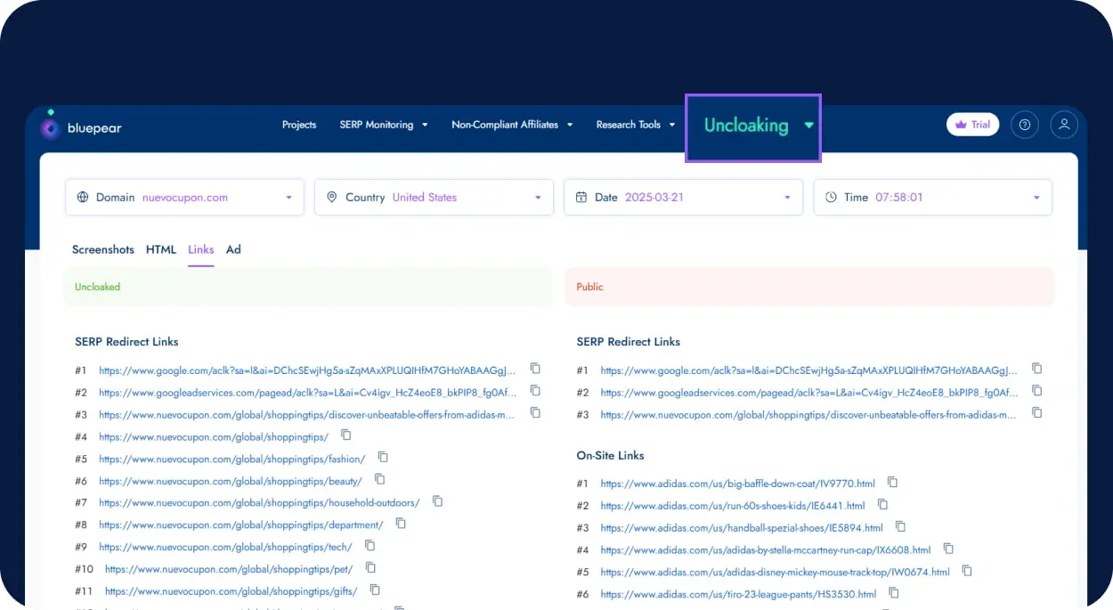 Bluepear’s-marketing-tool.webp