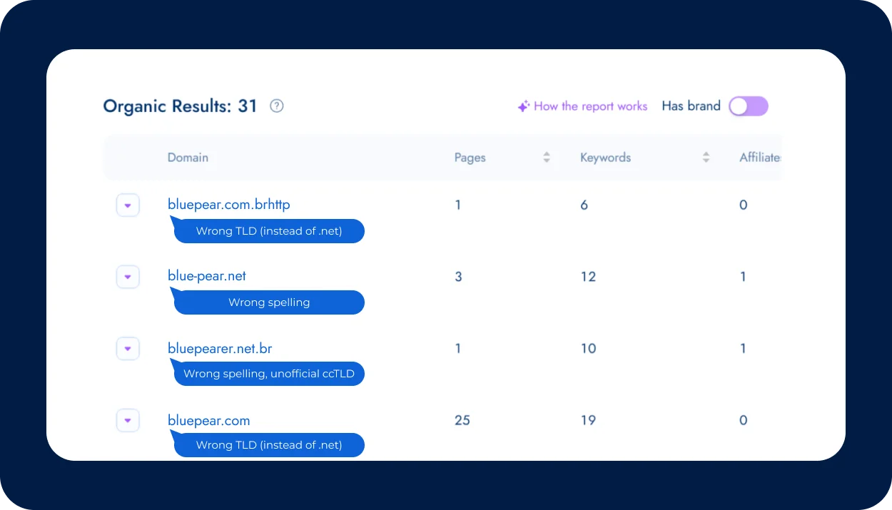 Screenshot example of fake domains detected by Bluepear.webp